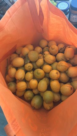 Organic lemons