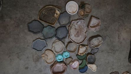 Large variety of reptile bowls/dishes