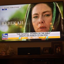 Sennheiser ME66 Shotgun Microphone