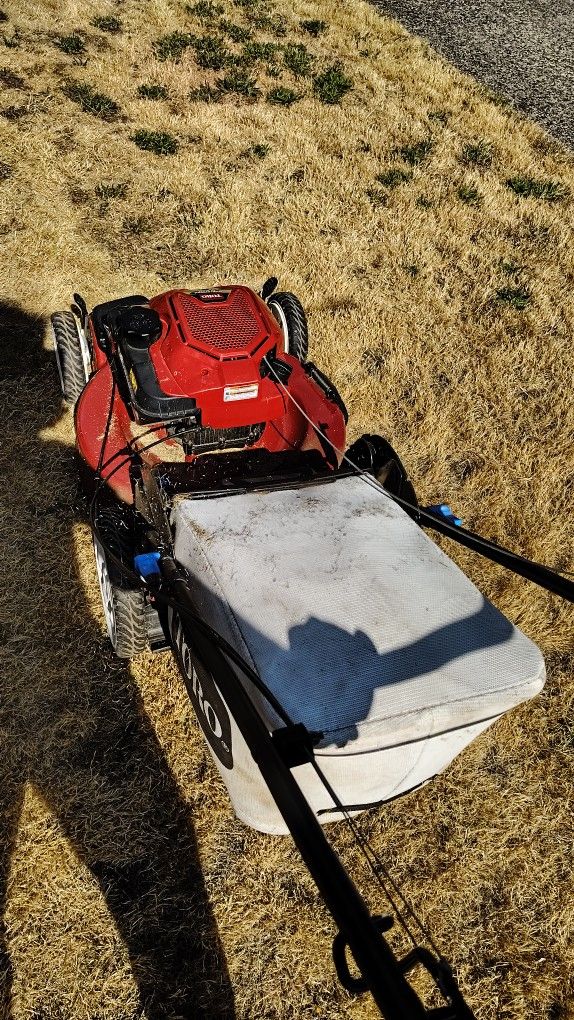 Lawn Mower