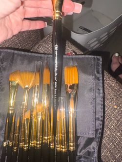 Expert artists brushes