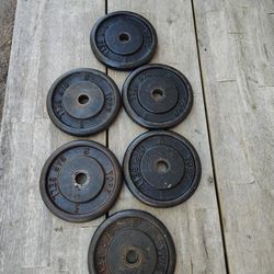 Weight Plates
