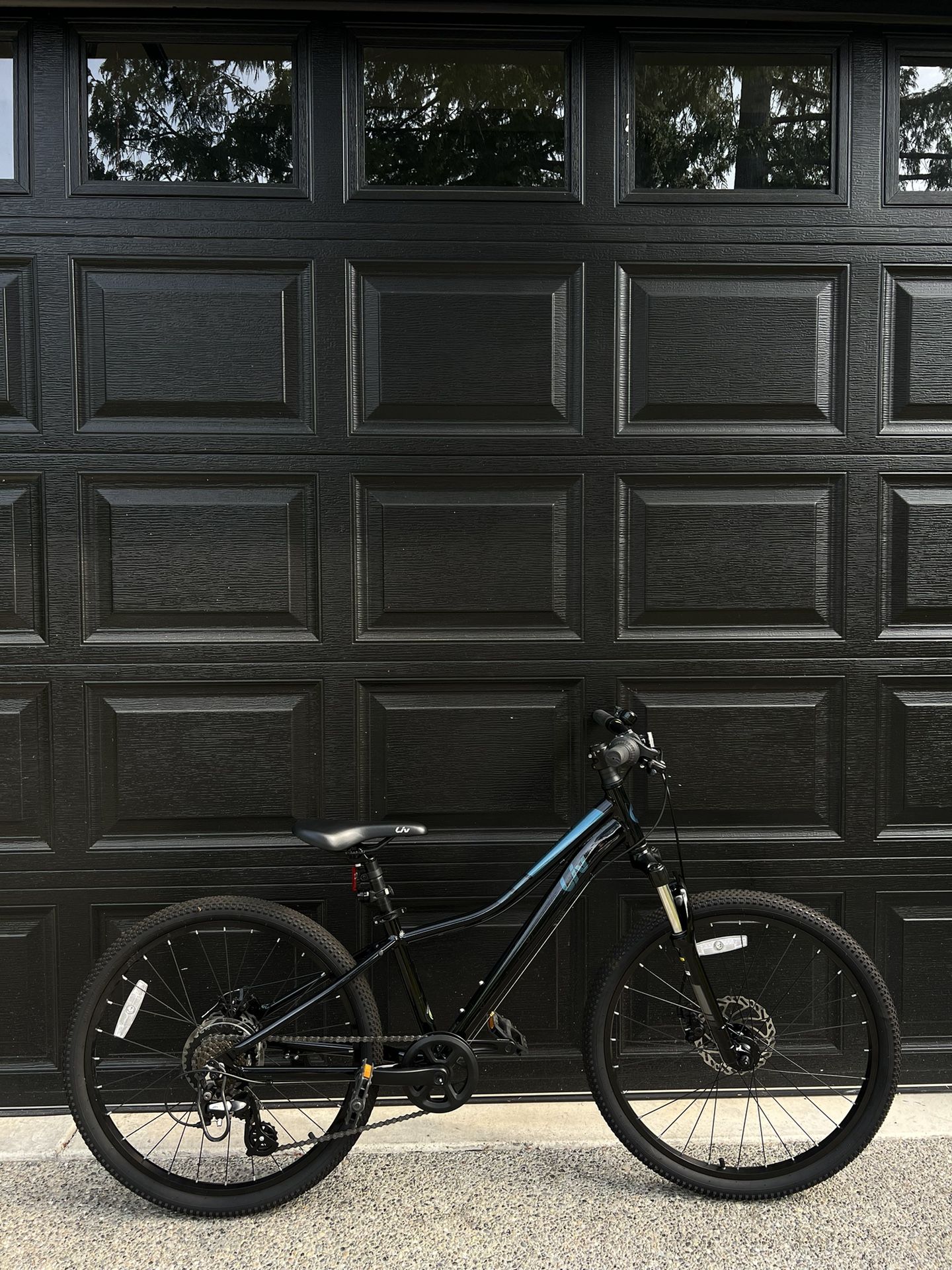 Liv Enchant Mountain Kids Bike 24”