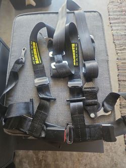 Schroth racing 5 pt harness
