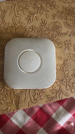 Nest