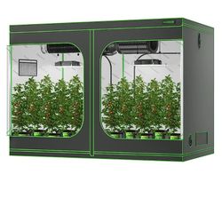 Indoor Plant Growing New