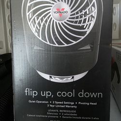Vornado Desk Fan