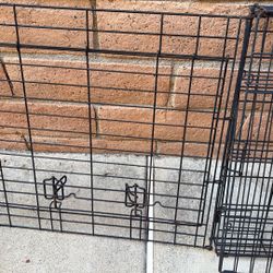 dog crate