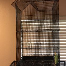 Bird Cage