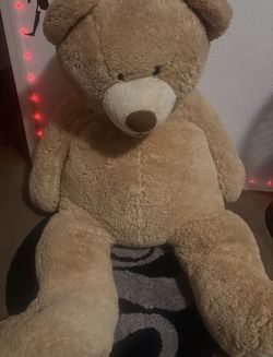 $75 dollar huge human size Teddy bear