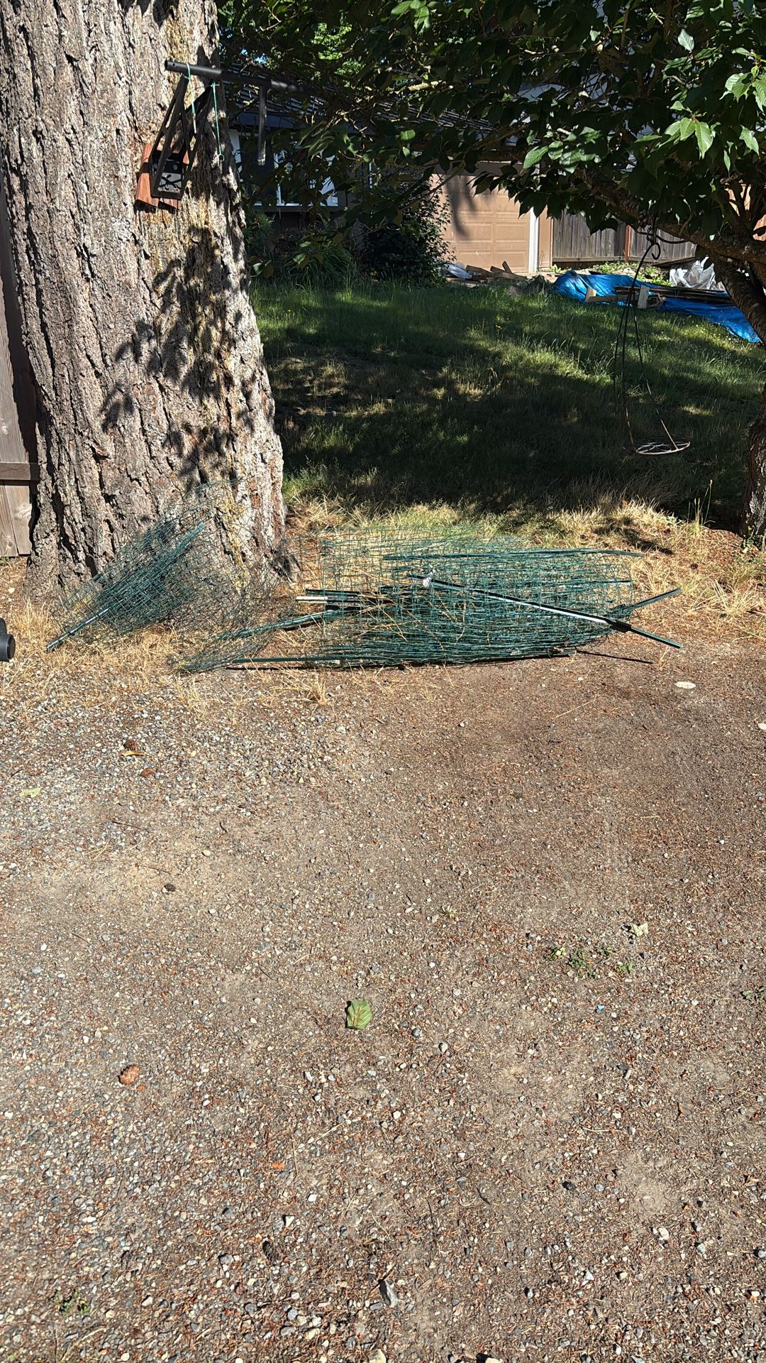 Temporary Garden Fencing 
