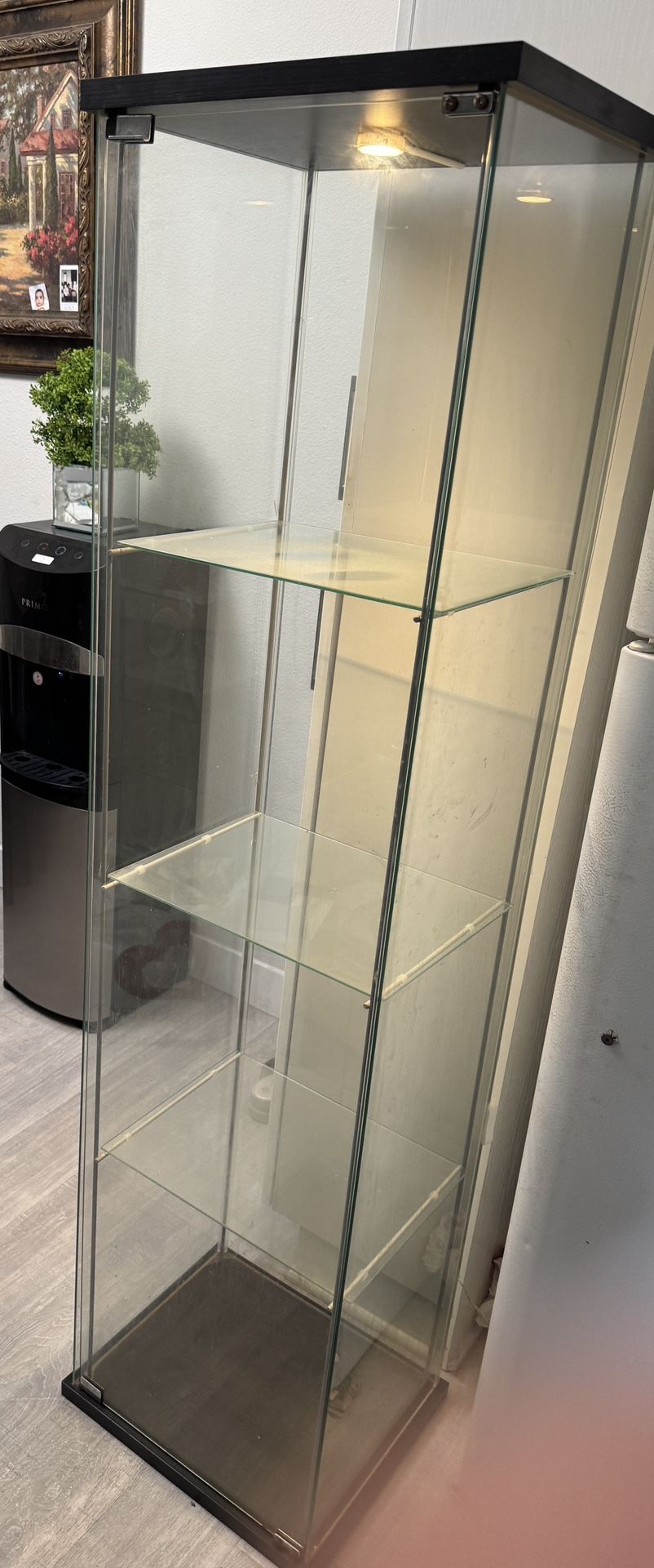 Shelf Clear Glass Curio Cabinet