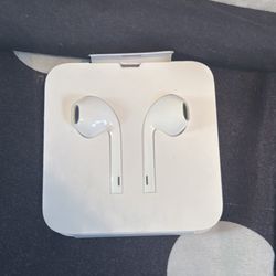 Apple earphones