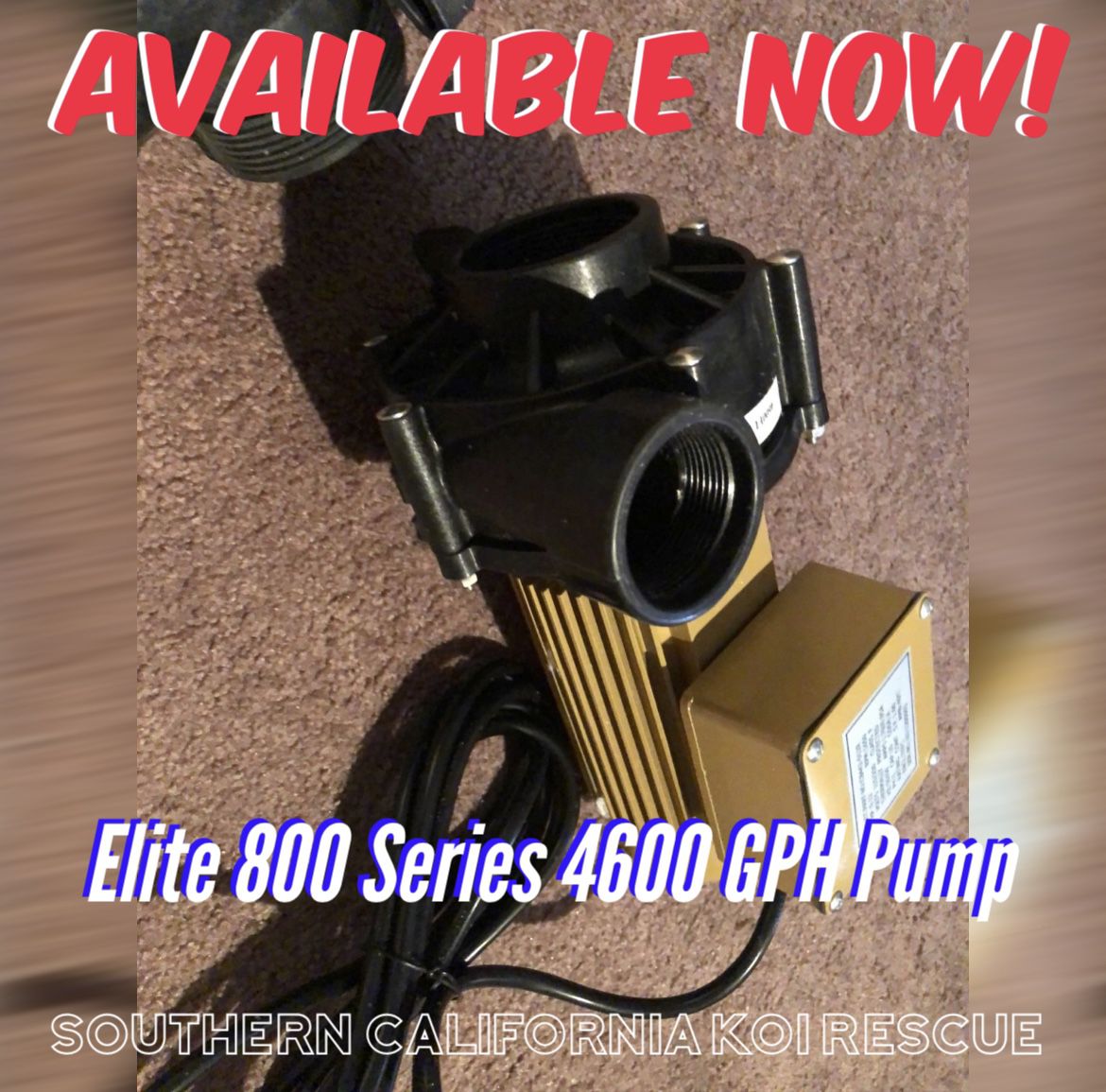 Elite 800 Series 4600 GPH Koi Pond Pump - NEW!