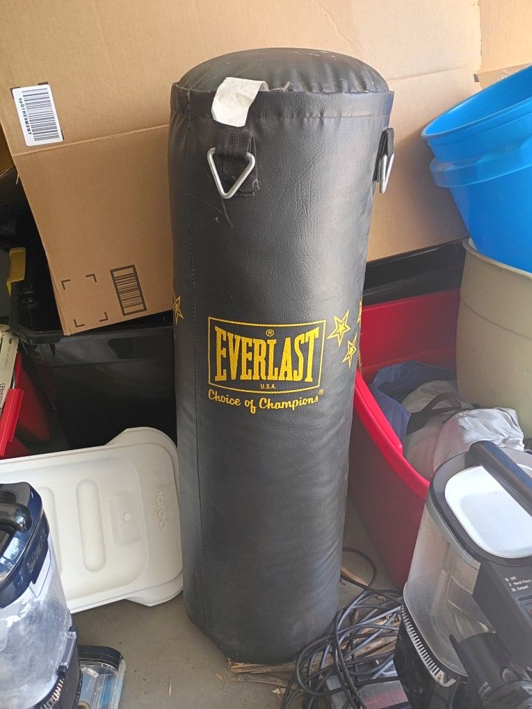 Everlast Punching Bag With Stand