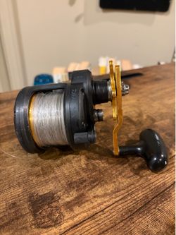 Daiwa Saltist 35 BG