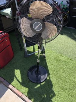Fan