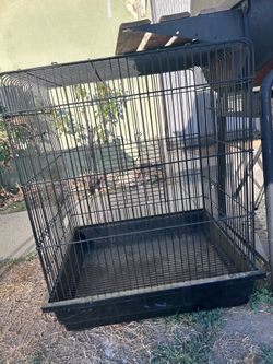 Bird Cage