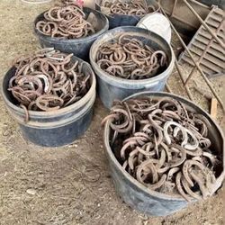 Horse shoes