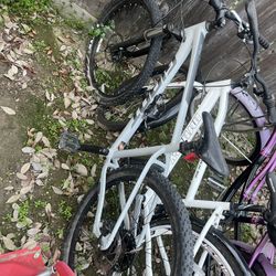 Giant Roam 3 Disc bike