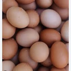 Farm eggs