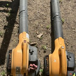 Two Blowers