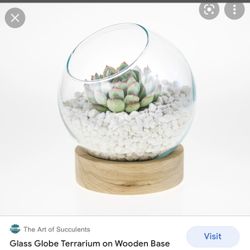 Glass Globe Terrarium On Wood Base