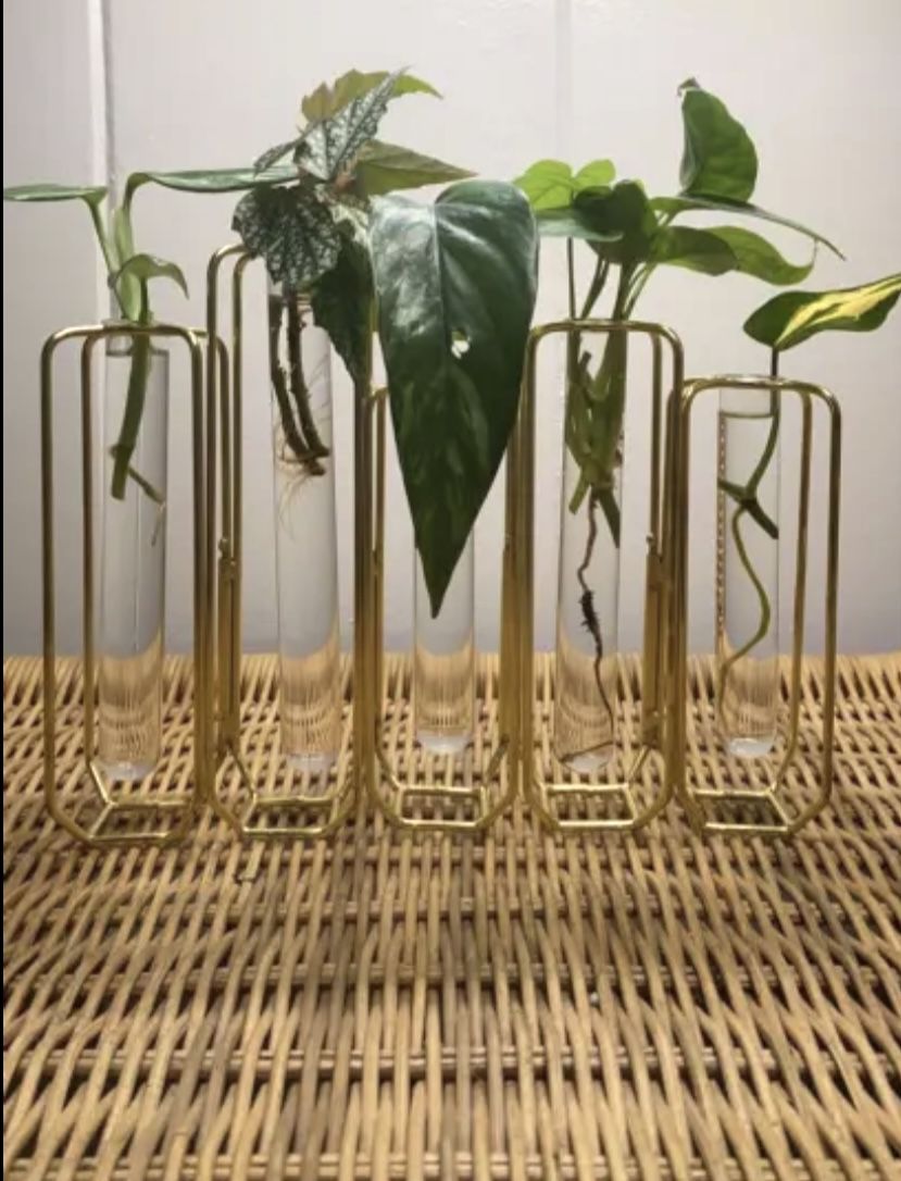 World Market Floral/Plant/Flowers Brass Bud Vase With Glass Test Tubes 🧪 