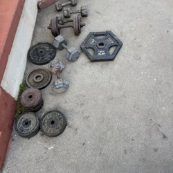 Free , Free Dumbbell Weights, Weights, Free Weights 