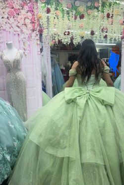 open lace back dress Frog Princess Ball Gown – Fawn Holley main image 1