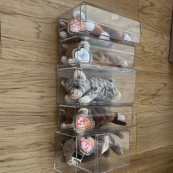 Cat\puma Beanie Baby Bundle NEED GONE