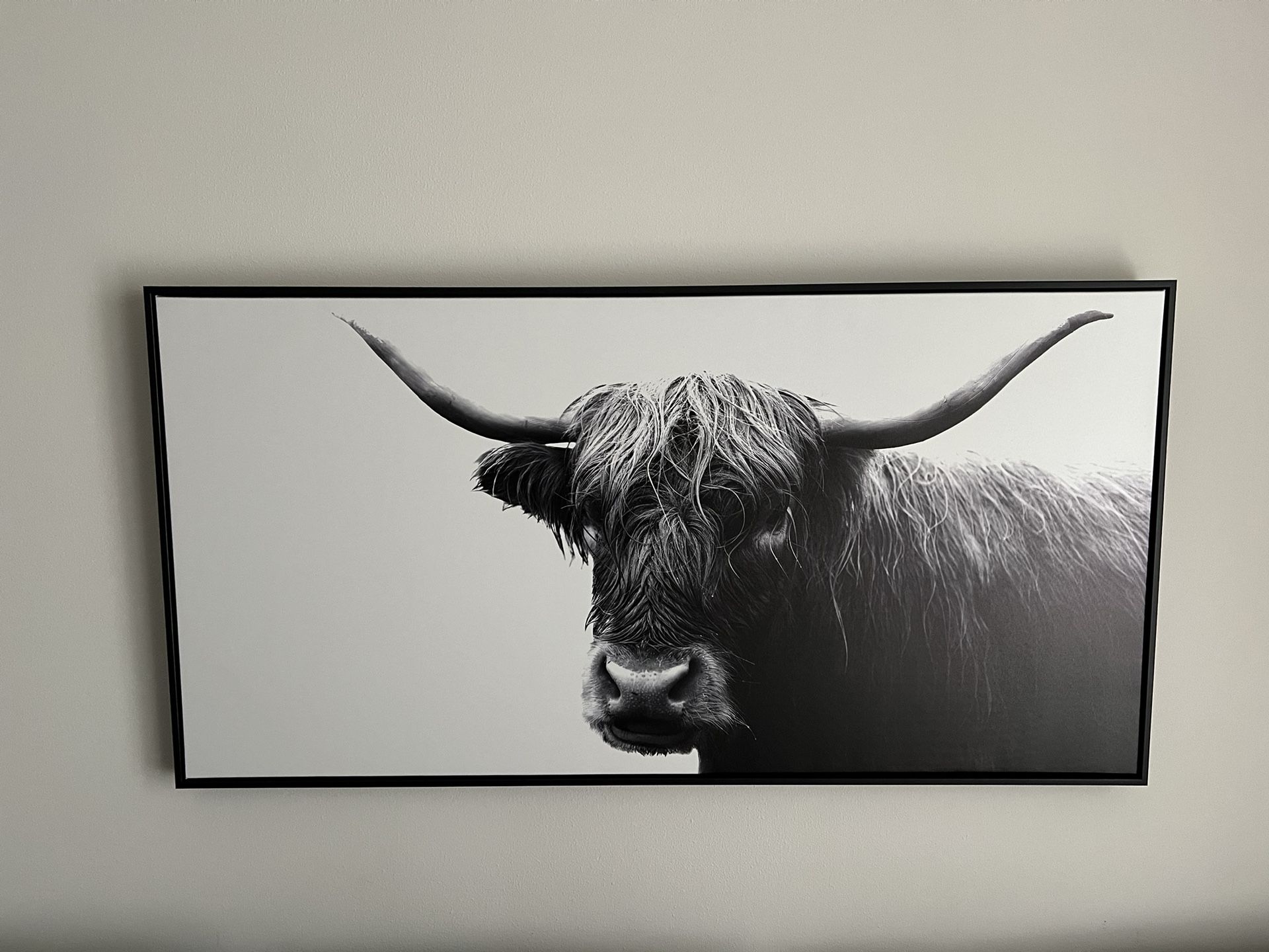 Highland Cow Framed Canvas