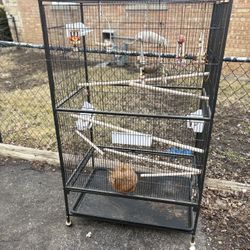 Bird Cage 