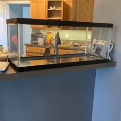 20 gal tank with screen 