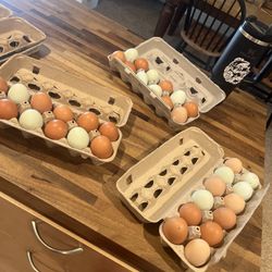 Fresh Eggs 