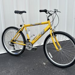 Vintage Raleigh Max MTB Hybrid Bike