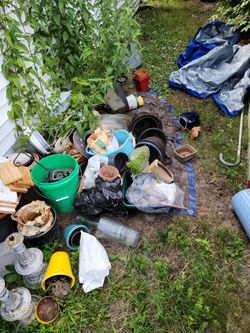 Miscellaneous garden stuff come look
