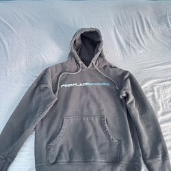 PinkFlamingoUSA Hoodie