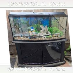 man and Fully-Loaded Aquarium Set - Dive into Underwater Beauty