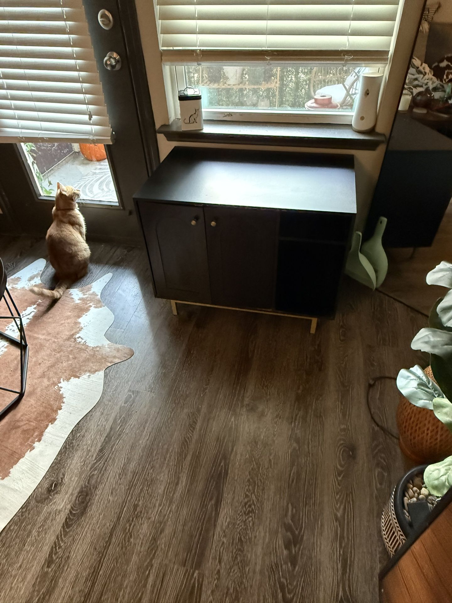 Cat Litter Box Enclosure