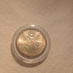 1 Mexican ounce of .999silver