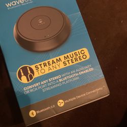  CastwaveRX  Bluetooth Receiver