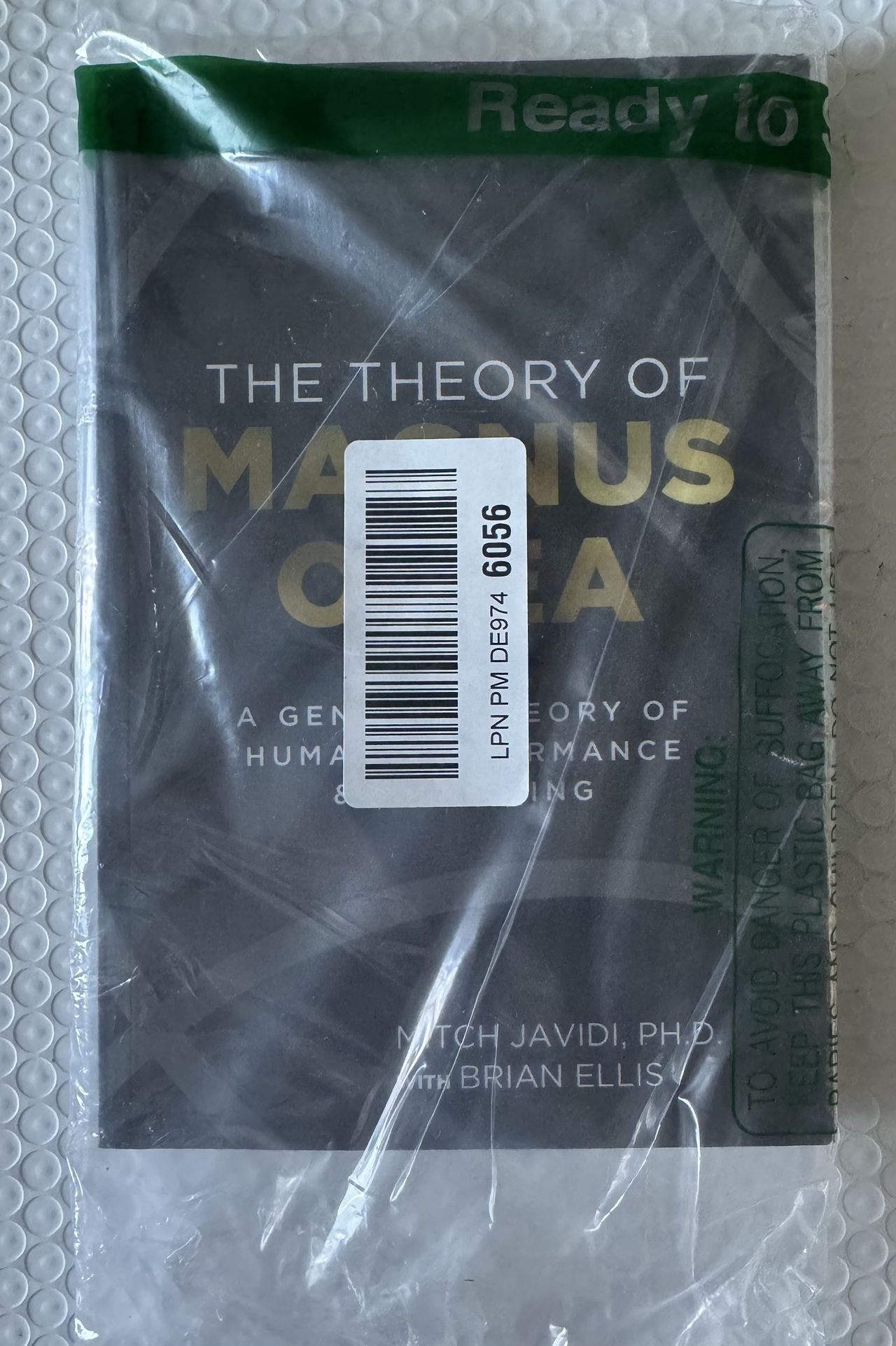 The Theory Of Magnus Ovea - Paperback