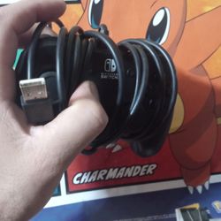 Nintendo Switch Controller 