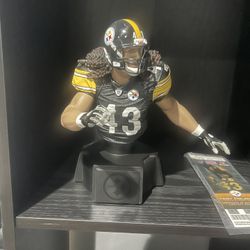 Troy Polamalu Limited Edition Collectable