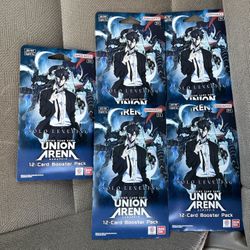 Solo Leveling Union Arena 