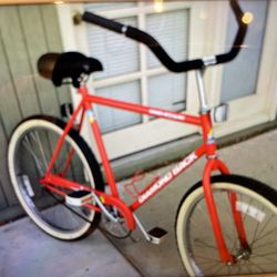 Beach Cruiser