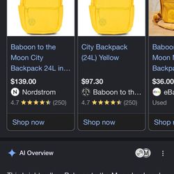 BABOON TO THE MOON City Backpack 24L