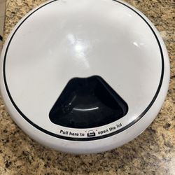 Electronic dog feeder