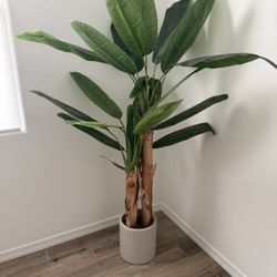 Target fake Plant